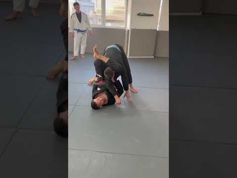 Triangle From the Delariva Guard 💂