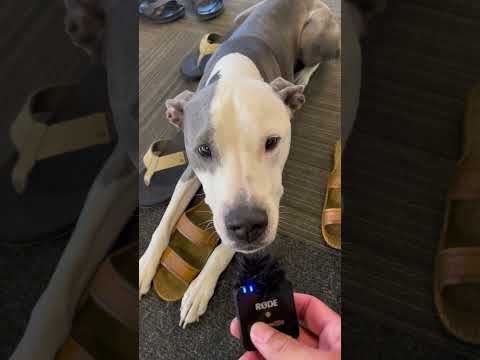 “  1st Year of AOE… Compressed Into 57 Seconds of Power 💥”