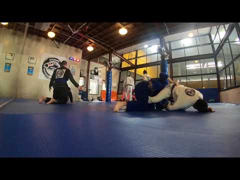 Typical BJJ Class - 01/09/2018