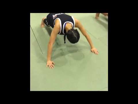 BJJ Strength & Conditioning -          07/02/2017