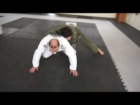 Segunda Salida Control Lateral de Cuadrúpedo