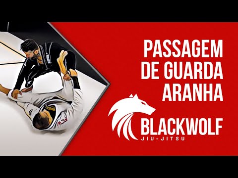 PASSAGEM DE GUARDA ARANHA / BLACKWOLF JJ / TECHNIQUE BJJ