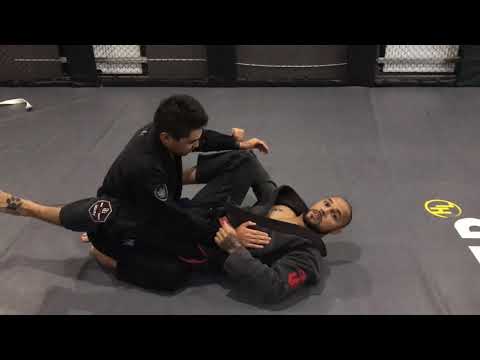 Marco Almeida  BJJ Class .