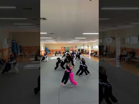 Carlson Gracie Napa Valley - Professor Marinho