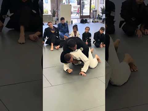 Lucas Leite half guard Mastered program