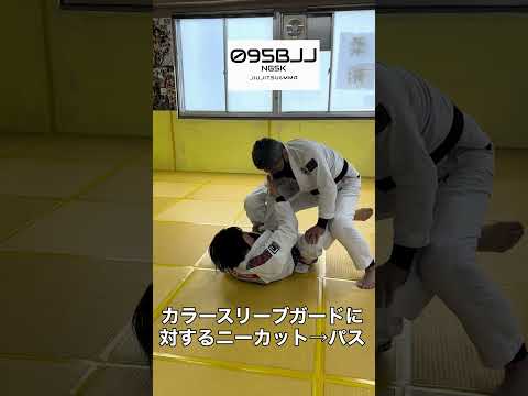 カラースリーブガードに対するニーカットパス