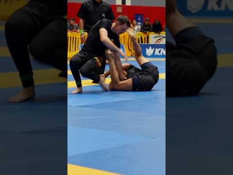 10th Planet Jiu Jitsu STORMS the IBJJF and Wins the No-Gi Team Title!