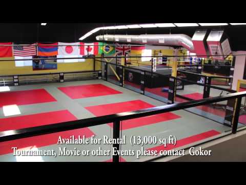 Hayastan MMA Academy