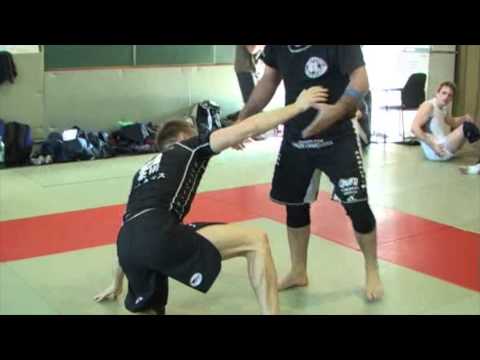 Gokors Chivichyan Seminar tour in Europe April 2014