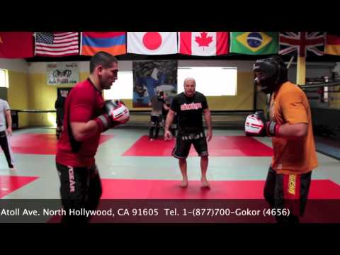 Hayastan MMA Academy Fighters 2013