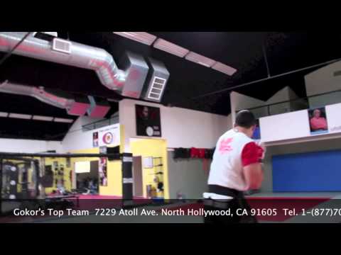 Hayastan MMA Academy Pro Fighters