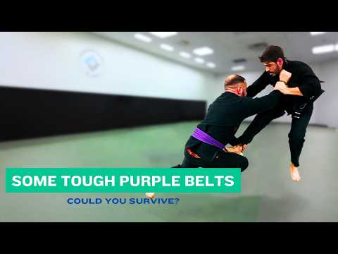 Purple Reign - BJJ Purple Belts Terrorizing the Mats
