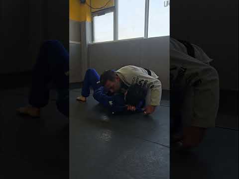 Technique 20 of 50 - Cross choke and Brabo choke from side control - 50 Techniques in 50 days! #bjj
