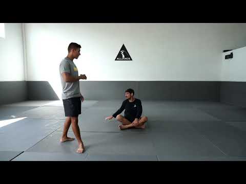 TREINOS PARA QUARENTENA (INICIANTES) - ALLIANCE MOGI