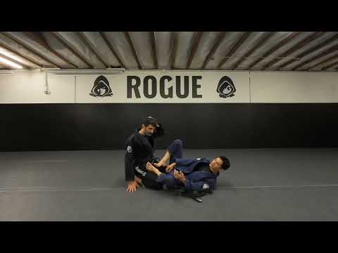 Rogue Jiu Jitsu - Training and Safety Guidelines