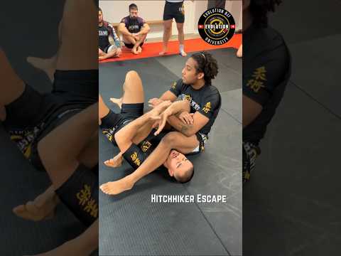 Hitchhiker Escape🌀