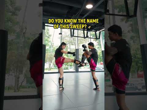 One of the Cleanest Sweeps You’ll See (Yoza Sweep)