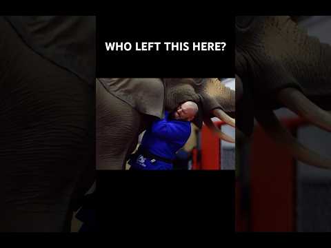 Who left this behind last night? ￼