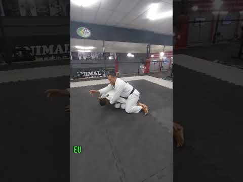 finalização do quatro apoios