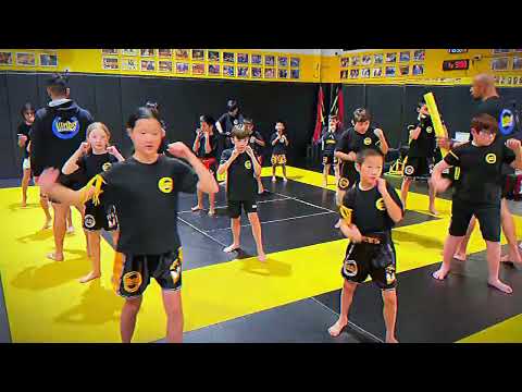 Martial Arts for Everyone