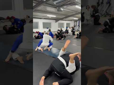 Week 1 of Our Beginners Course | Amazing Energy on the Mats