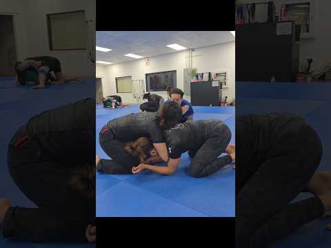 Wednesday Fundamental NOGI