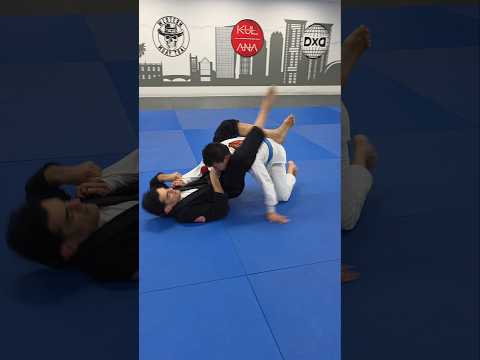 Single Leg X to Triangle #milliondollarbaby #bjj #gi #makegigreatagain