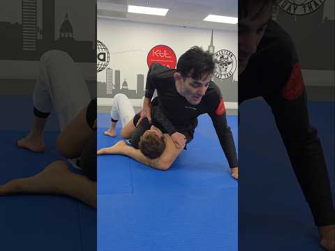 Mounted Triangle from Knee on Belly #bjj #jiujitsu #martialarts