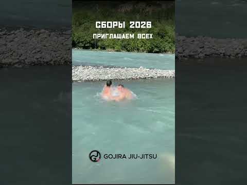 Спортивные сборы по бразильскому джиу джитсу Теберда #bjj #camp2026 #campjj