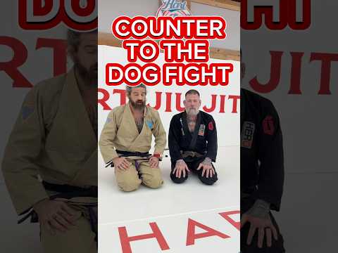 Countering the Dogfight 🥋🔥