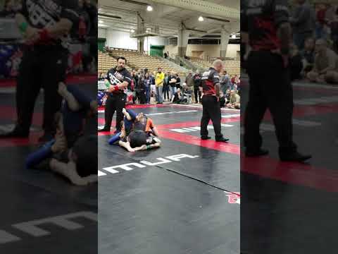 Stan IV No Gi Naga Nashville - Gold. (Midsouth LCCT)