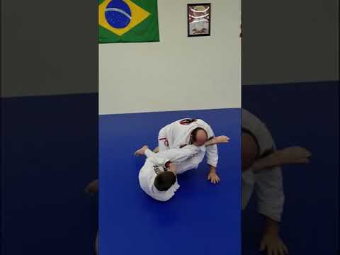 Stan White IV Highlights 2017