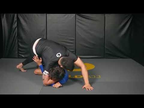 3 no Gi passes