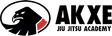 AKXE ACADEMY logo
