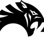 Apex Martial Arts Academy logo