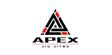 Apex Jiu Jitsu logo