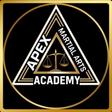 Apex Martial Arts Academy logo