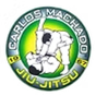 Bushido MMA and BJJ Academy logo