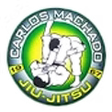 Bushido MMA and BJJ Academy logo