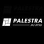 Palestra Jiu-Jitsu logo