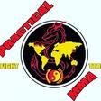 Practical MMA logo