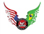 Process Over Prize Academy - Fredson Paixao BJJA logo