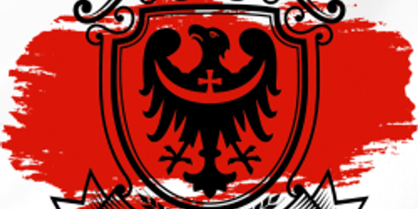 II Otwarte Mistrzostwa Dolnego Śląska w BJJ Gi & No Gi