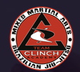 Clinch Academy logo