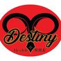 Destiny Health & MMA logo