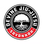 Devine Jiu Jitsu Savannah & Five Star Wrestling logo