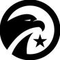 Element Academy of Jiu-Jitsu logo