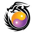 Fight Flow Academy logo