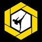 Headkicks Martial Arts & Fitness logo