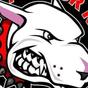 Ruffhouse logo